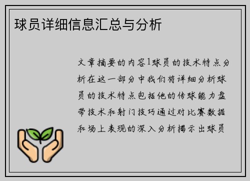 球员详细信息汇总与分析